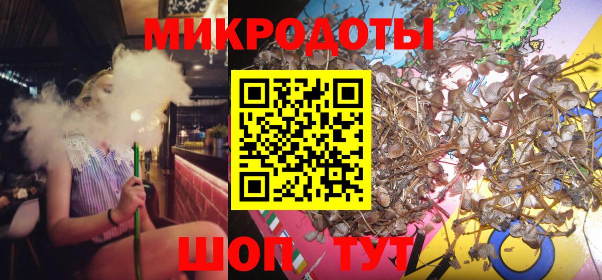 Галлюциногенные грибы MAGIC MUSHROOMS Вичуга