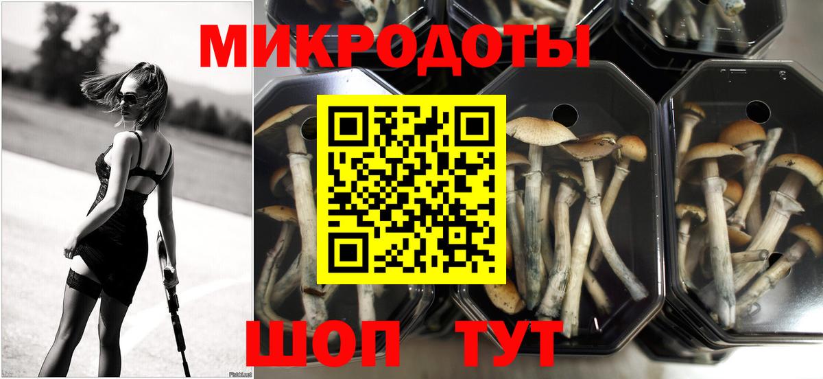 Галлюциногенные грибы MAGIC MUSHROOMS  сколько стоит  Вичуга  Галлюциногенные грибы мухоморы  Вход с VPN 